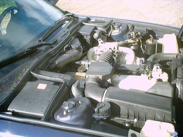 bmw87_0009.jpg