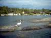 bttur_29032003_0002_small.jpg