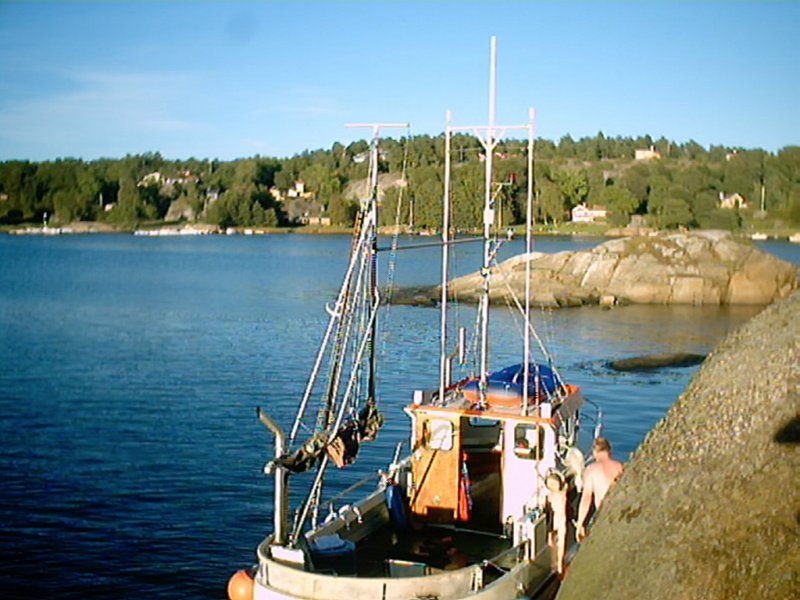 btturtilenavmangefineyer.jpg