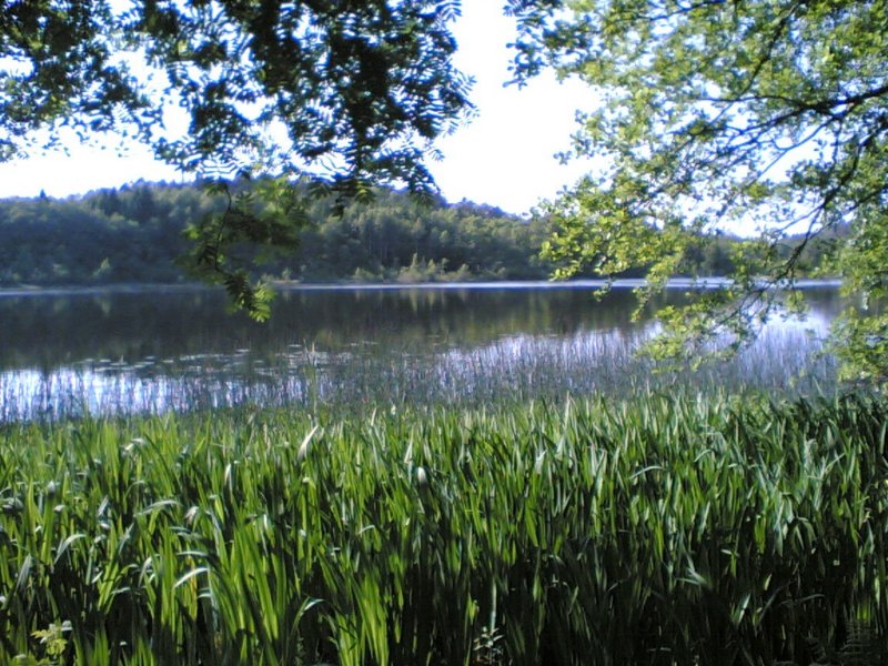 ferskvann.jpg