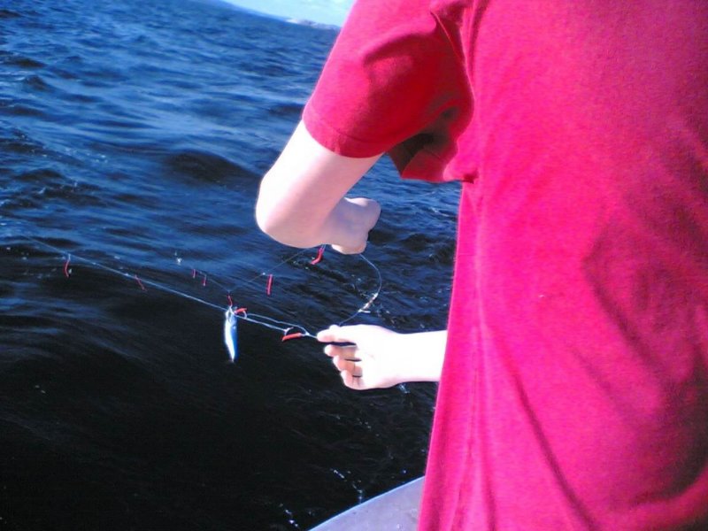 fiskerifjorden.jpg