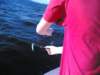 fiskerifjorden_small.jpg