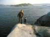 gokstadholmen200411_small.jpg