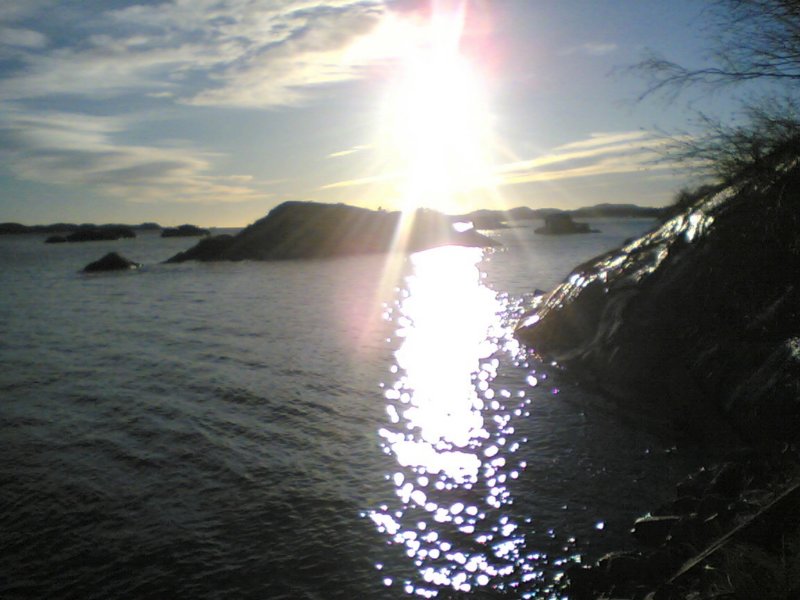 gokstadholmen200419.jpg
