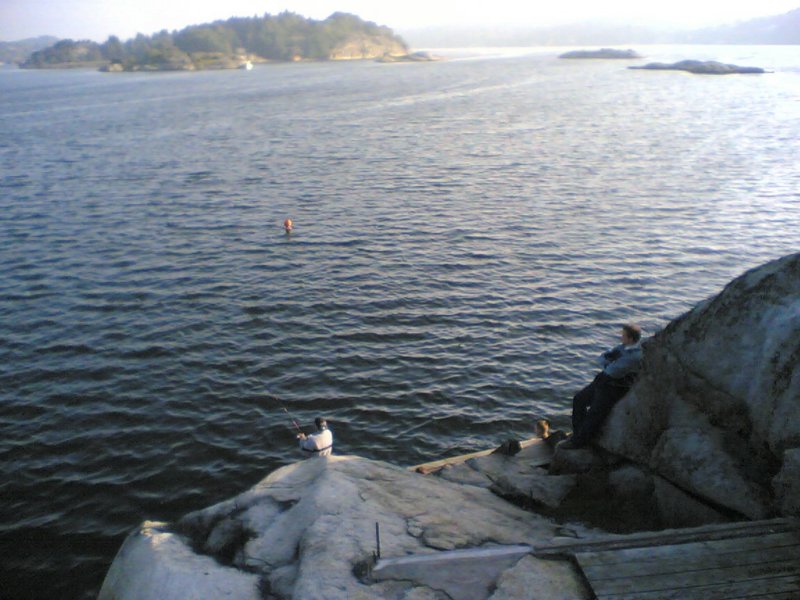 gokstadholmen20047.jpg