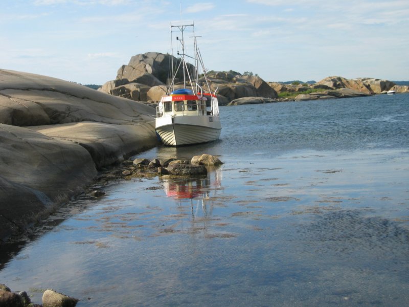 grillingpfjorden.jpg