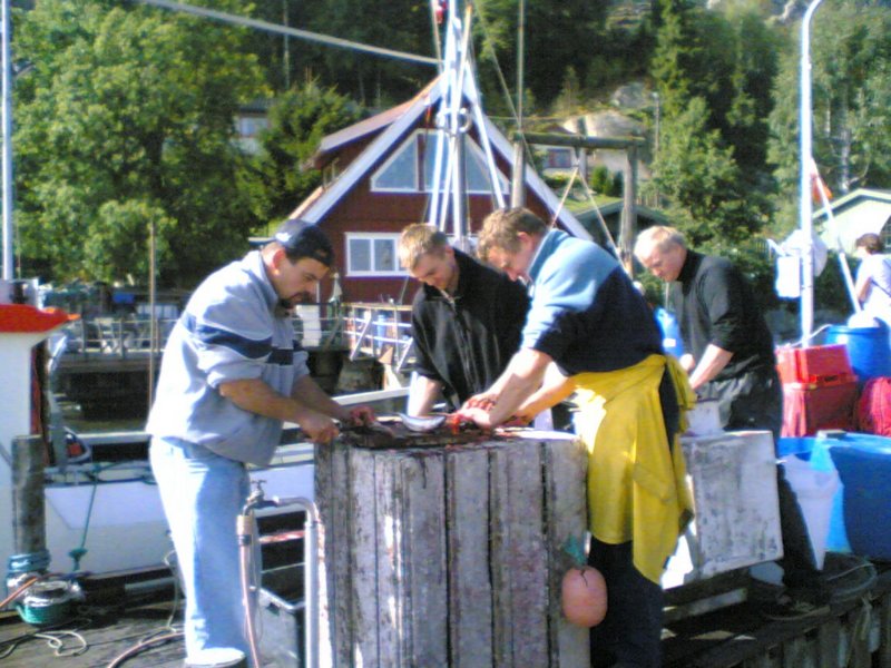 pfisketurifjorden20051.jpg