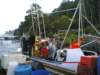 pfisketurifjorden200521_small.jpg