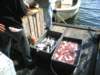 pfisketurifjorden20053_small.jpg