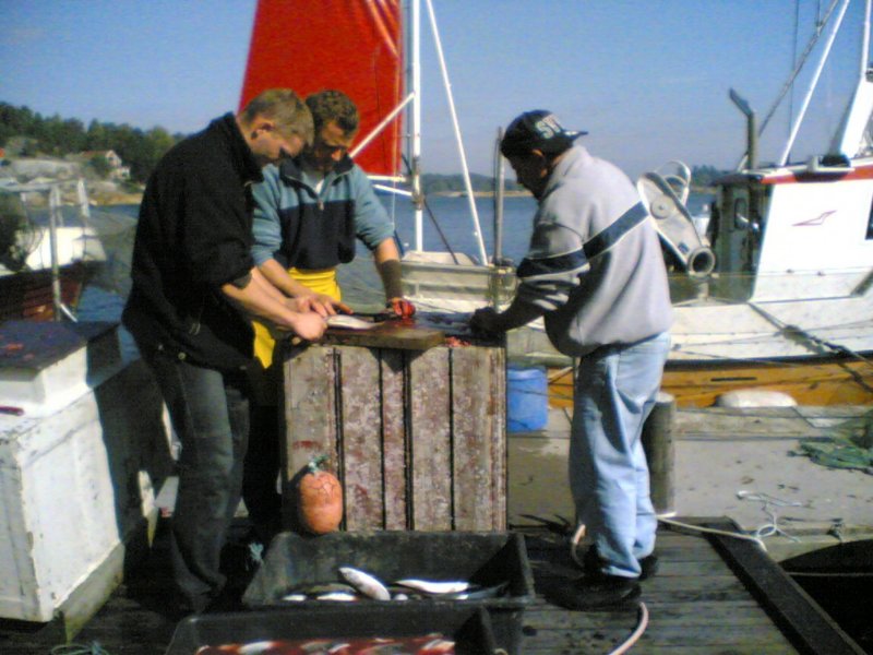 pfisketurifjorden20054.jpg
