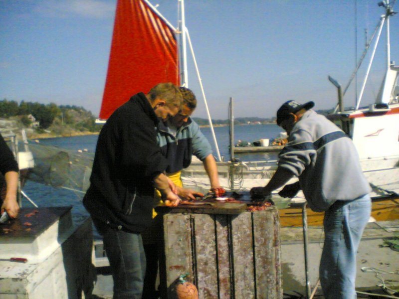 pfisketurifjorden20055.jpg