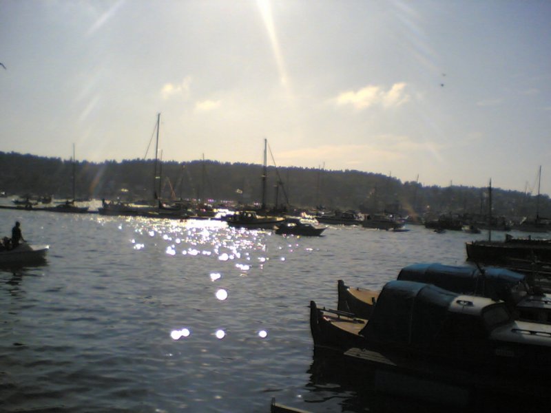 sthans20053.jpg
